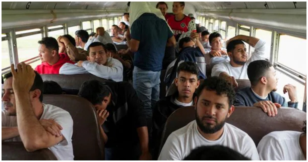 হন্ডুরাসের সান পেদ্রো সুলার র‌্যামন ভিলেদা মোরালেস এয়ারপোর্টে ২০২৪ সালের ৪ ডিসেম্বর বিমান থেকে নেমে বাসে করে গন্তব্যে যাচ্ছেন অ্যামেরিকা থেকে বিতাড়িত হন্ডুরাসের অভিবাসীরা। ছবি: মোইসেস ক্যাস্টিলো/এপি